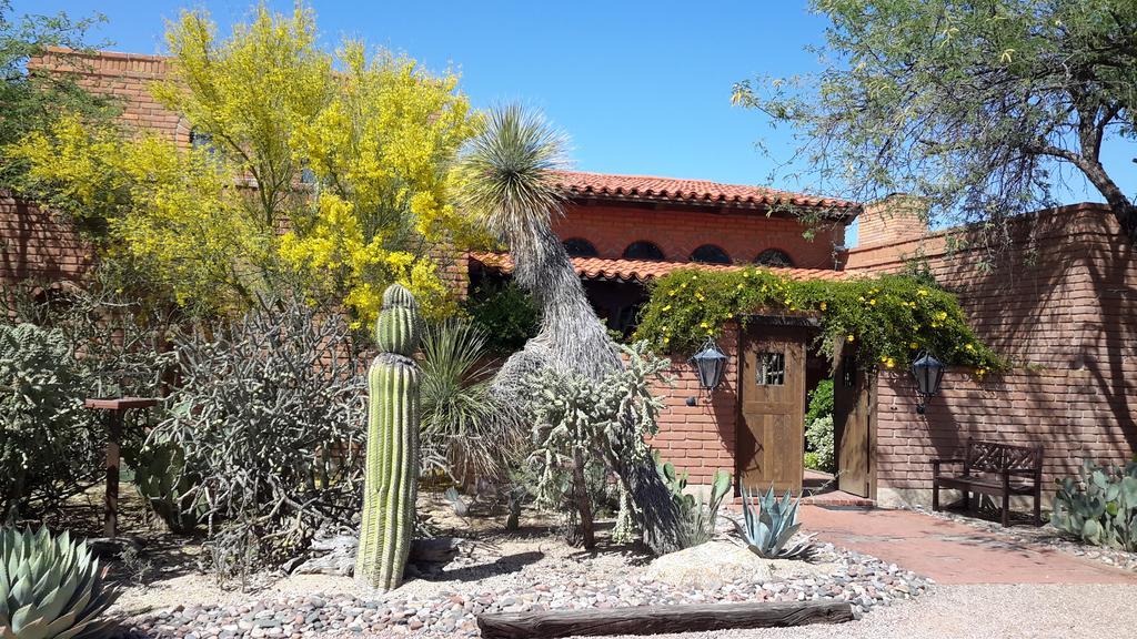 Desert Trails Bed & Breakfast Tanque Verde Екстериор снимка